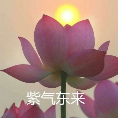 韩版dnf手游2d下载