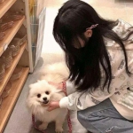 屠城归来变态版手游下载